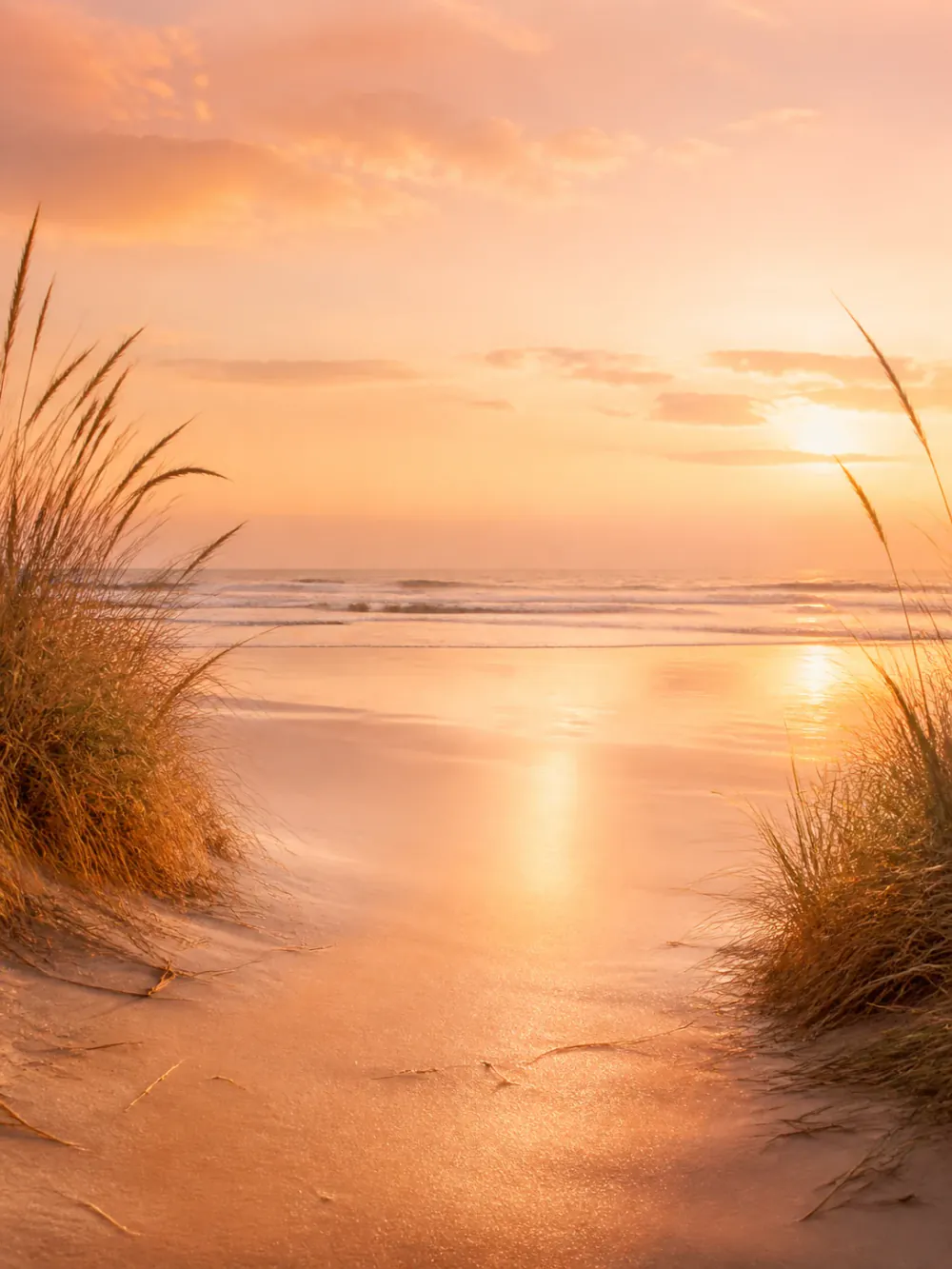 Golden Sunset Beach tema önizlemesi