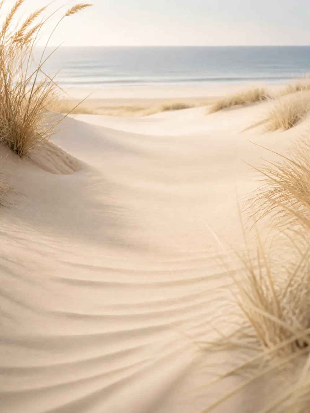 Soft Sand Dunes tema önizlemesi